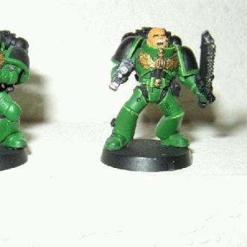 Sting's 1st Salamanders by AZStinger