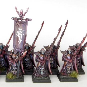 Dark Elves Executioners by medows