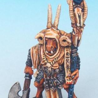 GW Beastmen Shaman by SnaQ