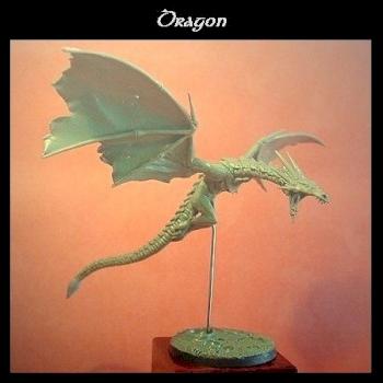 Dragon by gael