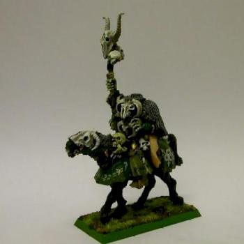 A mounted Sorceror of Chaos done in bone and green. by Sariel