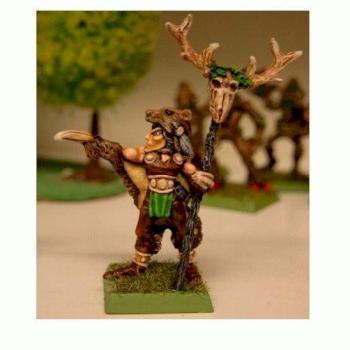 Wood Elf Mage by carabine