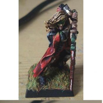 High Elf Hero Character by Methiston