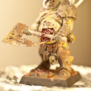Nurgle Lord, Warhammer fantasy, chaos Warriors by TheNovicePainter
