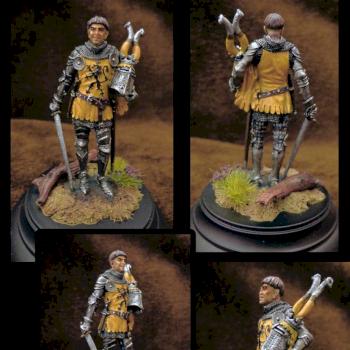 The Western European Knight, 14 century by SPLUST