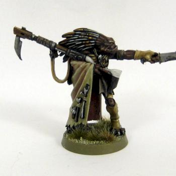 Angor Prok, Kroot Shaper by Chunk