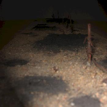 Fence Line by Saw