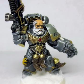 SW Wolf Guard by Faithful