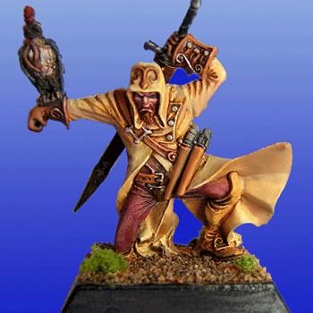 Falconer of Alahan by amrpress