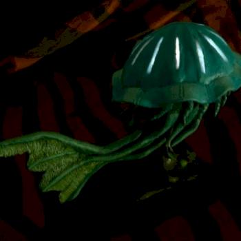 Jellyfish mount by Jalal
