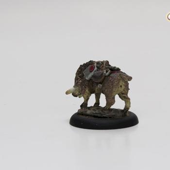 Pack Boar by Samantha Hatz