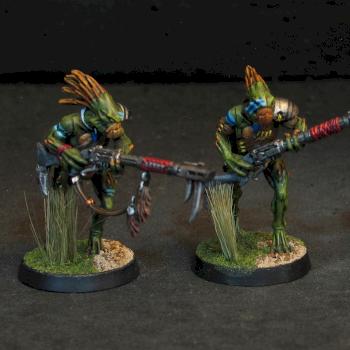 kroot by Jodokast