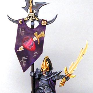 Dark Elves Battle Standard Bearer by Honza