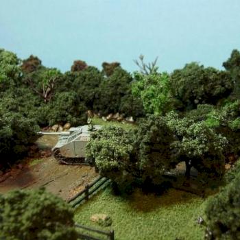 Bocage Country by Shawn Morris