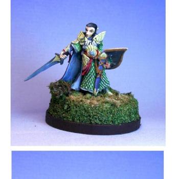 Elf Warrior by Duren86