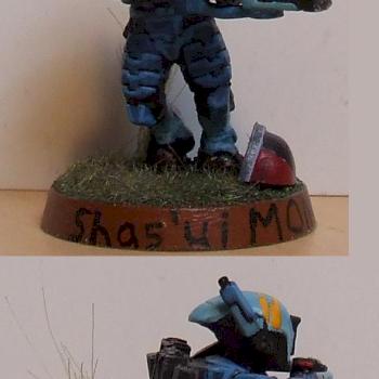 Shas'ui for squad 2 of my old tau army by Turiya64