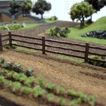 Country Side by Shawn Morris