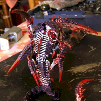 trygon by teudge