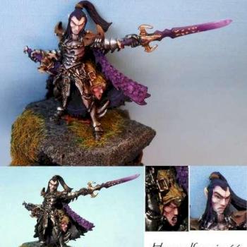 AOW dark elf hero by Lamenoire
