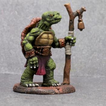 Dark Sword Turtle Druid by superbug983