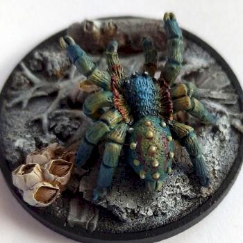 Spider by Zorana