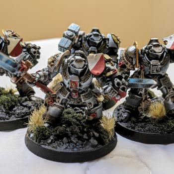 Grey Knights by tedkoob