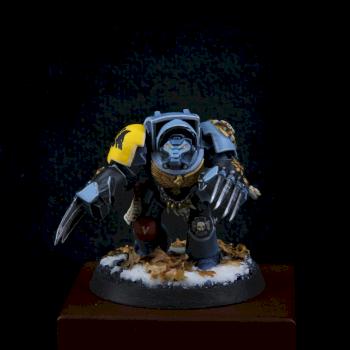 Space Wolf Terminator by tedkoob