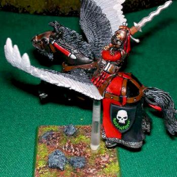 Pegasus Captain (side) by Sariel