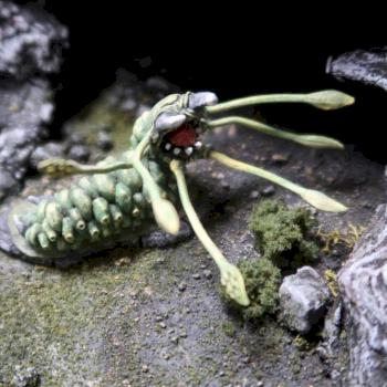carrion crawler by jdmoyer