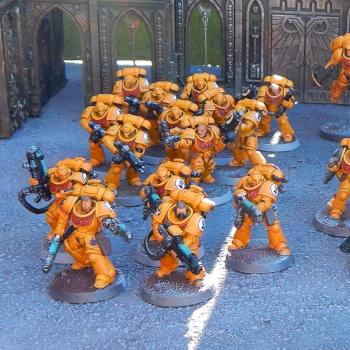 Imperial Fists Primaris Detachment by P4Painting