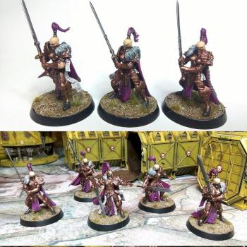Sisters of Silence Vigilator Squad by GAS