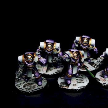 Emperor's Children Cataphractii Terminator Squad by goblet