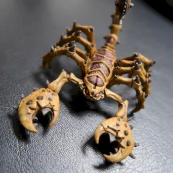 scorpion by jdmoyer
