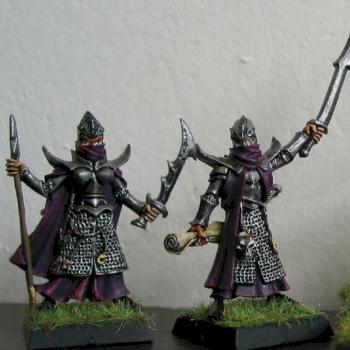 Dark Elf Reaper crew by Shadowrune