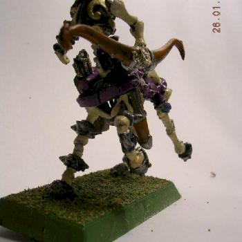 cavalier squelette by binouze