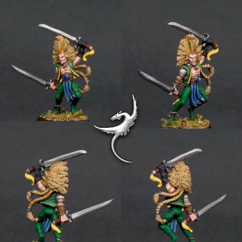 Wood Elf Wardancer Hero by ar2roo