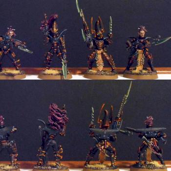 Dark Eldar Kabalite Warriors by Wyand
