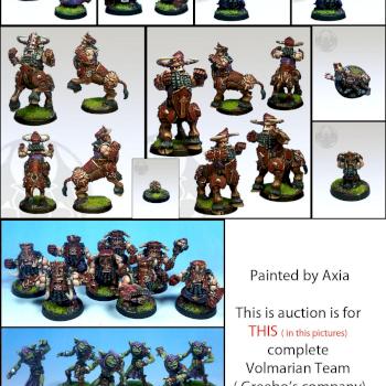 Volmarian team - Chaos Dwarfs by Greebo-store