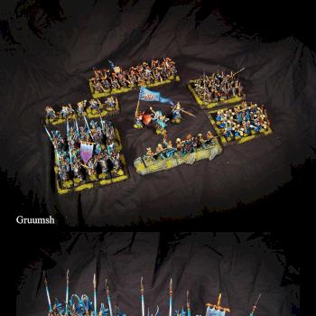 High Elves army (part 1) by Gruumsh