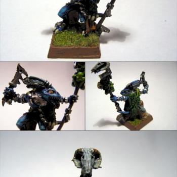 Skinks Schamane II by gorn