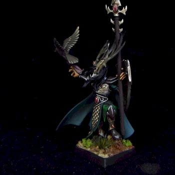 Wood Elves Araloth by Awaken Realms