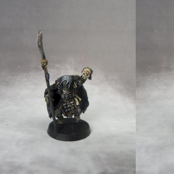 Orc Shaman (conversion) by Tia