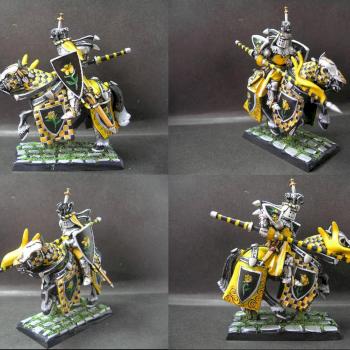 Warhammer Bretonnian Knight of Yellow Roses by tinman755