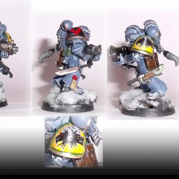 Grey Hunter/Wolf Guard Test model by Razielus