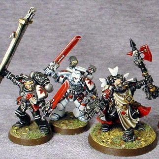 Black Templar Paladin + Bodyguard by brainless