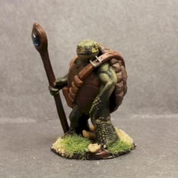 Dungeon and DRagon Turtle Cleric by superbug983