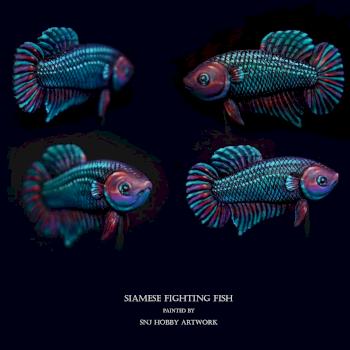Siamese Fighting fish by SNJ Hobby Artwork