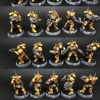 Imperial Fist Infiltrators by regis