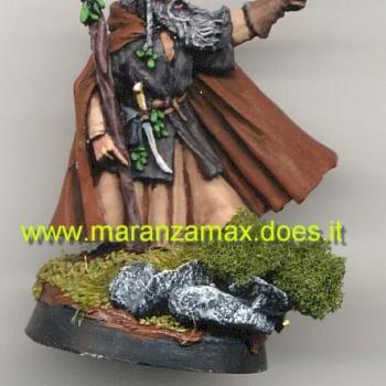 Radagast the Brown by MaranzaMax