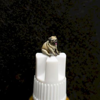 A little pug by pantxo